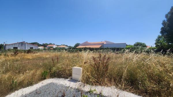 Terrain