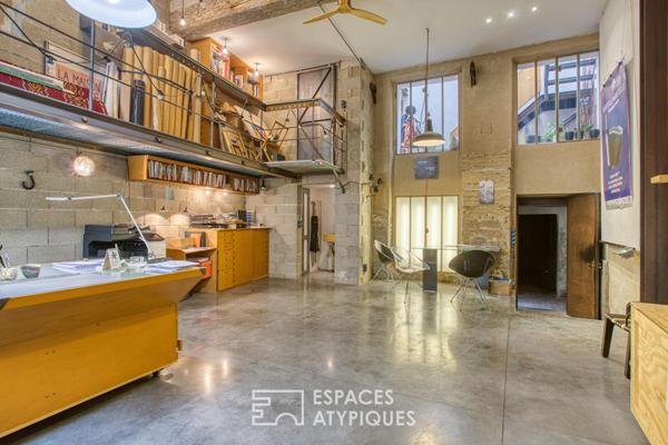 Maison d’artiste au coeur de l’Isle-sur-la-Sorgue avec atelier et terrasse panoramique