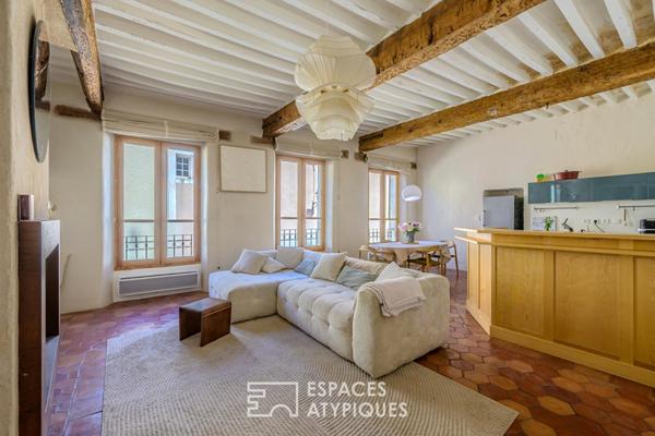 Maison d’artiste au coeur de l’Isle-sur-la-Sorgue avec atelier et terrasse panoramique