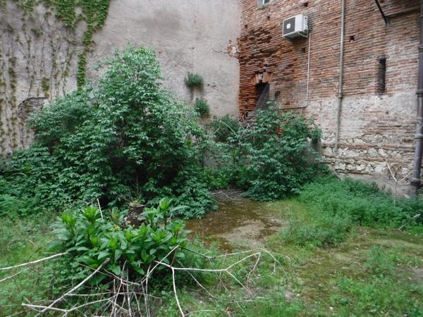 Maison  avec trois chambres - vue cathédrale ou vieil Alby-  Cité Episcopale