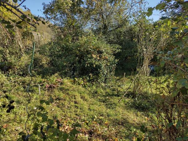 Vente Maison 3 pièces 60 m2 à Montferrier