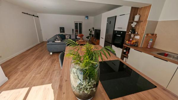 Propriete à vendre constituée de 2 maisons individuelles à BALARUC LES BAINS (34)