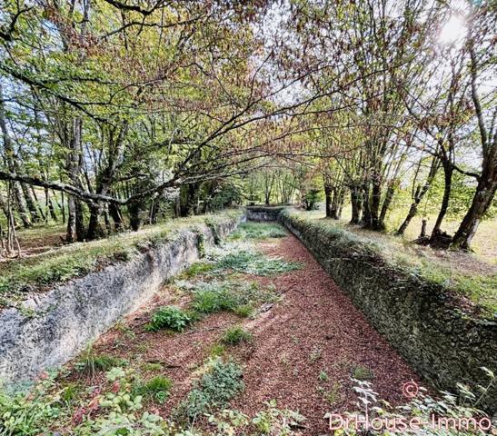 Château à vendre 10 pièces de 480 m²
