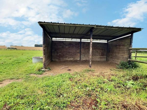 Maison familiale 7 pièces – 155 m² – Campagne de Fauville-en-Caux – 1,2 ha de terrain