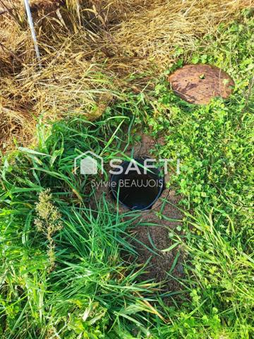 Terrain de presque 8000m2