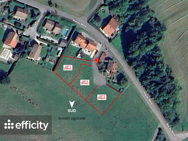 Terrain
        
        - 853 m² 230 000 € *