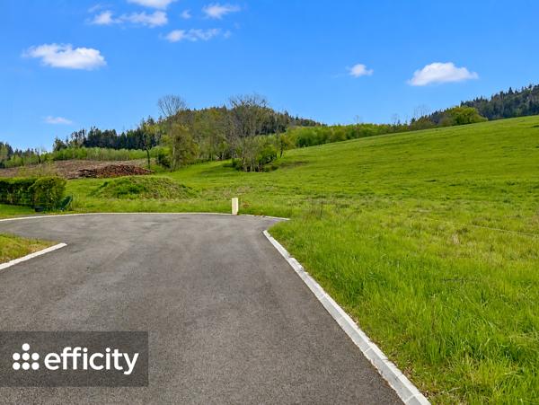 Terrain
        
        - 853 m² 230 000 € *