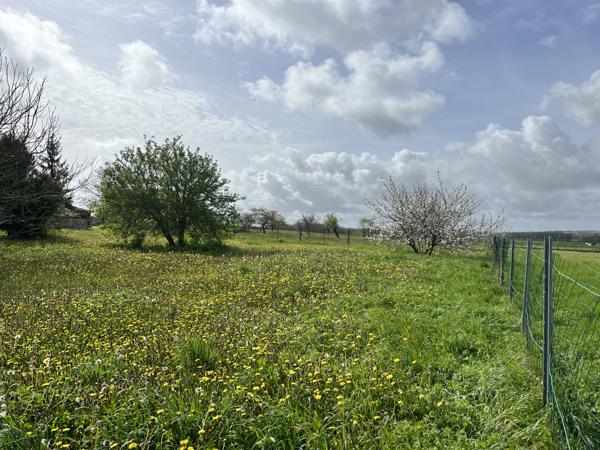Germignac (17520) 

Terrain à bâtir de 2249m² à acheter à Germignac (17)