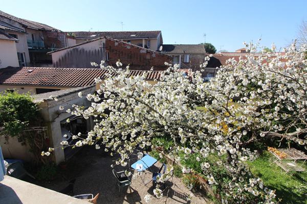 MONTAUBAN : Maison coeur de ville, 5 pièces.