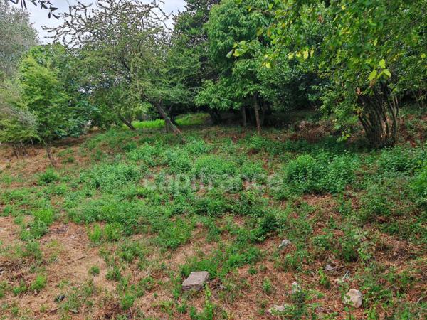 Terrains à vendre de 3160 m² FALICON (06)