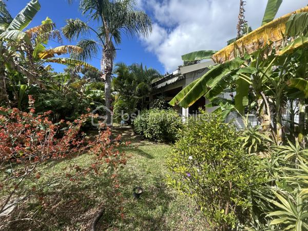 Située au 8ᵉ à La Montagne, dans un quartier résidentiel calme, cette maison à rénover de 161 m² habitables est implantée sur une parcelle de 914 m² arborée, à proximité immédiate du village, des commerces (supermarché, boulangerie, pharmacie), des écoles et des principaux axes.

La maison se compose, au rez-de-chaussée, d’un séjour de 28 m² offrant un bel espace de vie ainsi que de trois grandes chambres aux volumes confortables. Son agencement permet d’envisager différents projets de rénovation et d’aménagement selon vos besoins.

À l’extérieur, une varangue de 28 m² prolonge les espaces de vie et donne sur un terrain planté de letchis, de canneliers et d’ylang-ylang. Une allée permet de stationner plusieurs véhicules sur la propriété.

Le bien est équipé d’un chauffe-eau solaire et l’assainissement est assuré par une fosse septique.

Le montant de la taxe foncière est de 2400€.

Cette maison constitue une belle opportunité pour les acquéreurs souhaitant rénover un bien spacieux, bénéficiant d’un grand terrain et d’un emplacement recherché à La Montagne.
