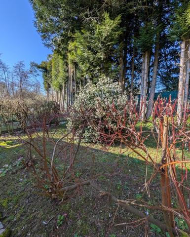 TERRAIN DE LOISIR AVEC MOBIL HOME ET ETANG