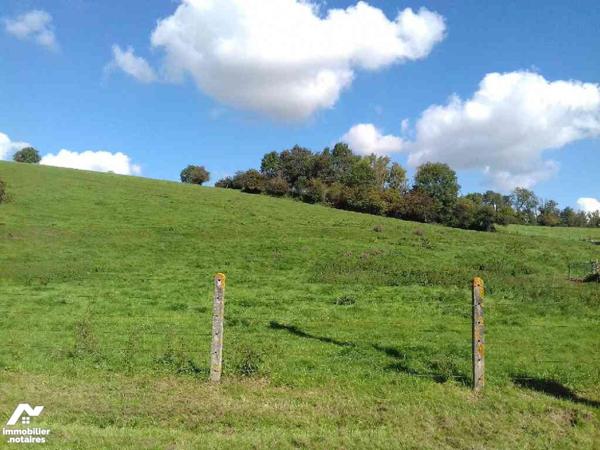 A VENDRE Pas-de-Calais - ANVIN
PARCELLE TERRAIN A BÂTIR d'une surface de 1270 m².
Le terrain ...