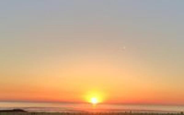 Appartement à louer    1 pièce •  Vieux-Boucau-les-Bains