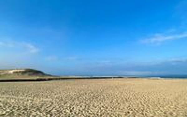 Appartement à louer    1 pièce •  Vieux-Boucau-les-Bains