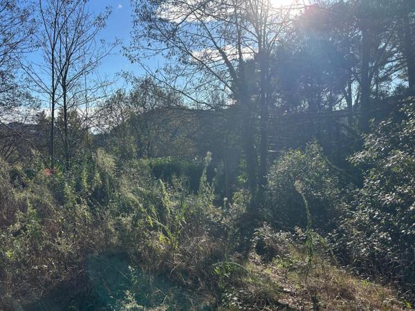 beau terrain constructible de 1500m2