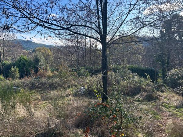 beau terrain constructible de 1500m2