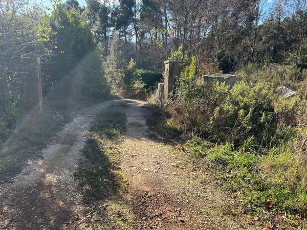 beau terrain constructible de 1500m2