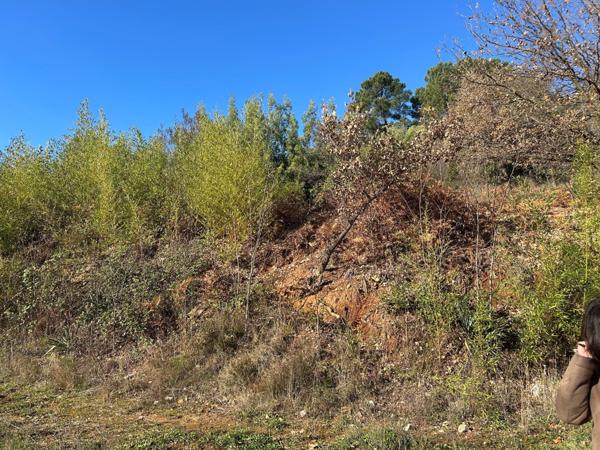 beau terrain constructible de 1500m2