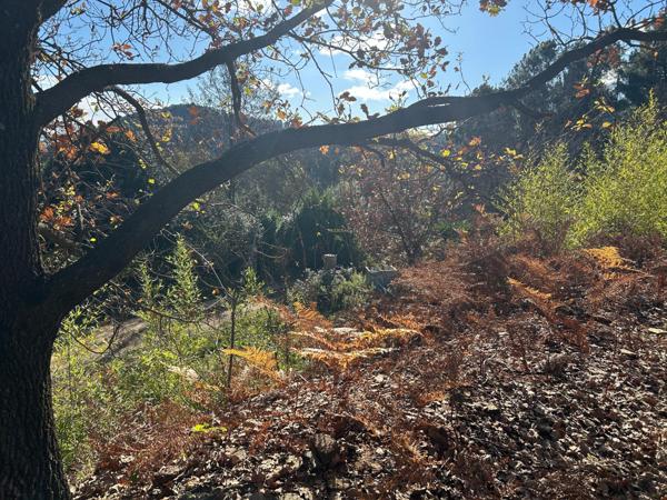 beau terrain constructible de 1500m2