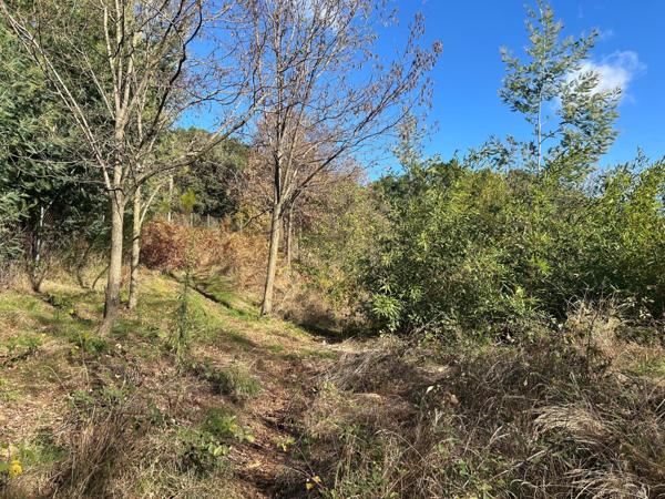 beau terrain constructible de 1500m2