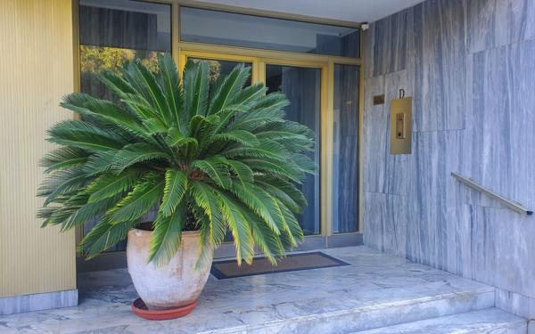 Appartement à vendre    3 pièces • 75 m2 Cagnes-sur-Mer