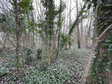 Terrain de loisirs - Bois - Etang à vendre à Le Mans dans la Sarthe (72000), ref : 72126-2902