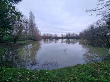 Étang à vendre à Neuvy-Saint-Sépulchre dans l'Indre (36230), ref : CG/346