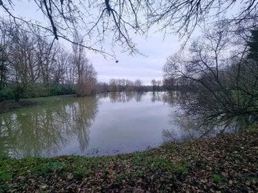 Étang à vendre à Neuvy-Saint-Sépulchre dans l'Indre (36230), ref : CG/346
