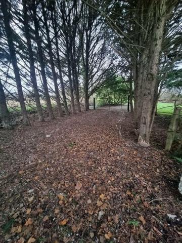 Étang à vendre à Neuvy-Saint-Sépulchre dans l'Indre (36230), ref : CG/346