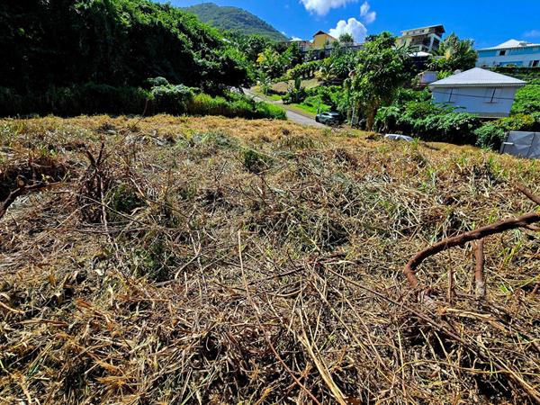 Terrain Les Trois Ilets 754 m2