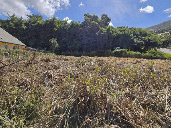 Terrain Les Trois Ilets 754 m2