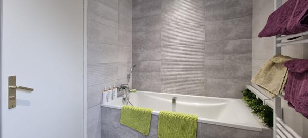 Grande Maison de style proche SAINT GILLES