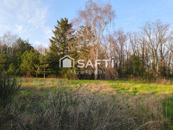 Terrain 2 790 m² arboré avec permis – Échemiré, cadre agréable