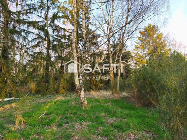 Terrain 2 790 m² arboré avec permis – Échemiré, cadre agréable