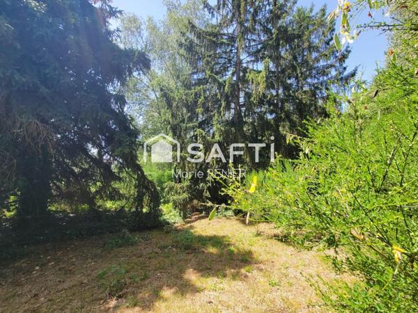 Terrain 2 790 m² arboré avec permis – Échemiré, cadre agréable