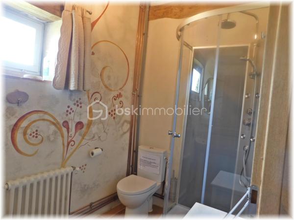 Corps de ferme de 437 m²