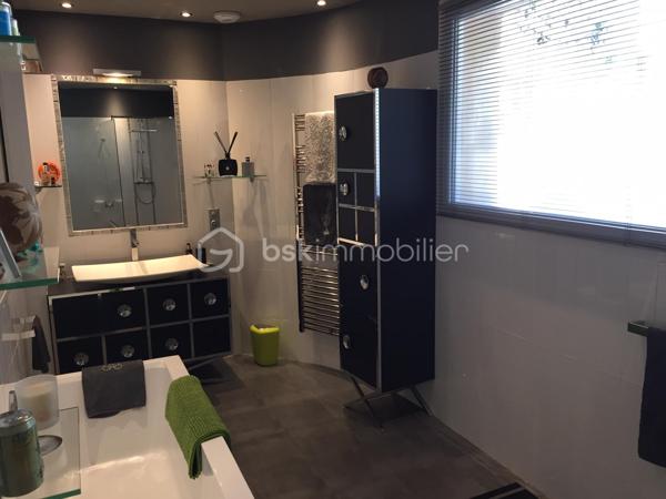 Propriete de 490 m²