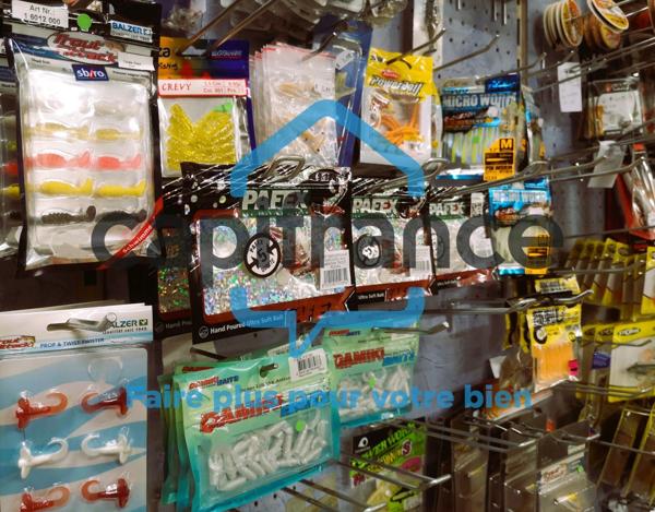 Dpt Calvados (14), à vendre FALAISE - Fonds de Commerce d'Armurerie, Chasse, Pêche et Apiculture