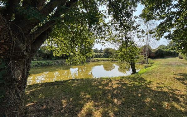 Maison à vendre    5 pièces •  Férel