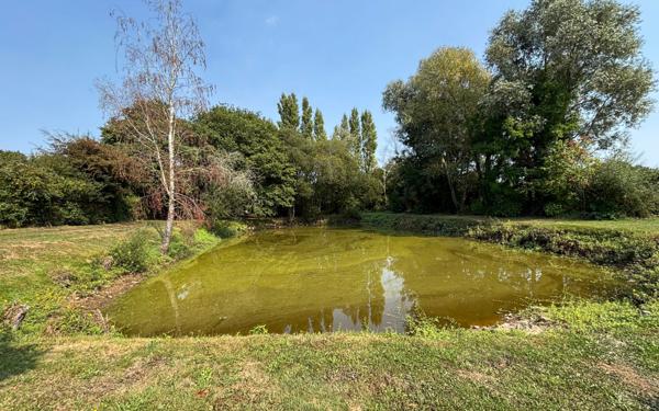 Maison à vendre    5 pièces •  Férel