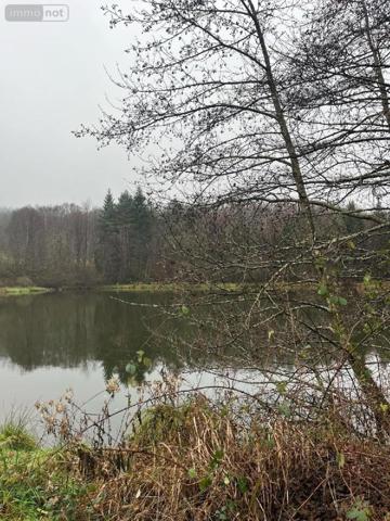 Autres types de propriété à vendre à Épinal dans les Vosges (88000), ref : CMA