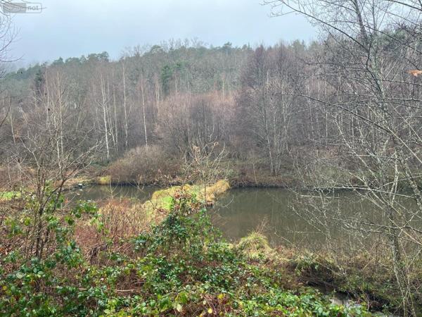 Autres types de propriété à vendre à Épinal dans les Vosges (88000), ref : CMA