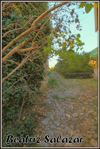 Maison de ville de 96m² sur 3 niveaux, avec belle terrasse, cave, possibilité de studio indépendant, toiture refaite.