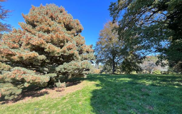 Terrain à vendre    Veyrac