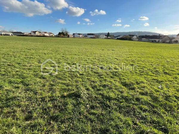 Terrain de 19 818 m²