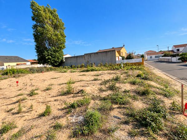 Terrain
        
        - 221 m² 149 000 € *