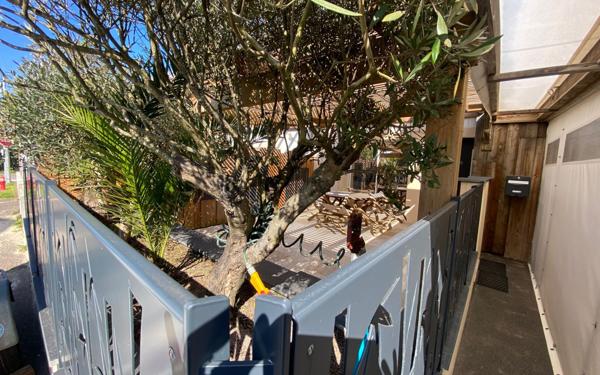 Maison à vendre    4 pièces • 85,48 m2 Biscarrosse