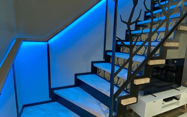 Maison à vendre    4 pièces • 85,48 m2 Biscarrosse