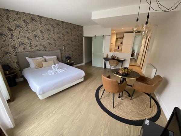 Grand t1 de 30 m2   Dernier étage   Hypercentre Annecy